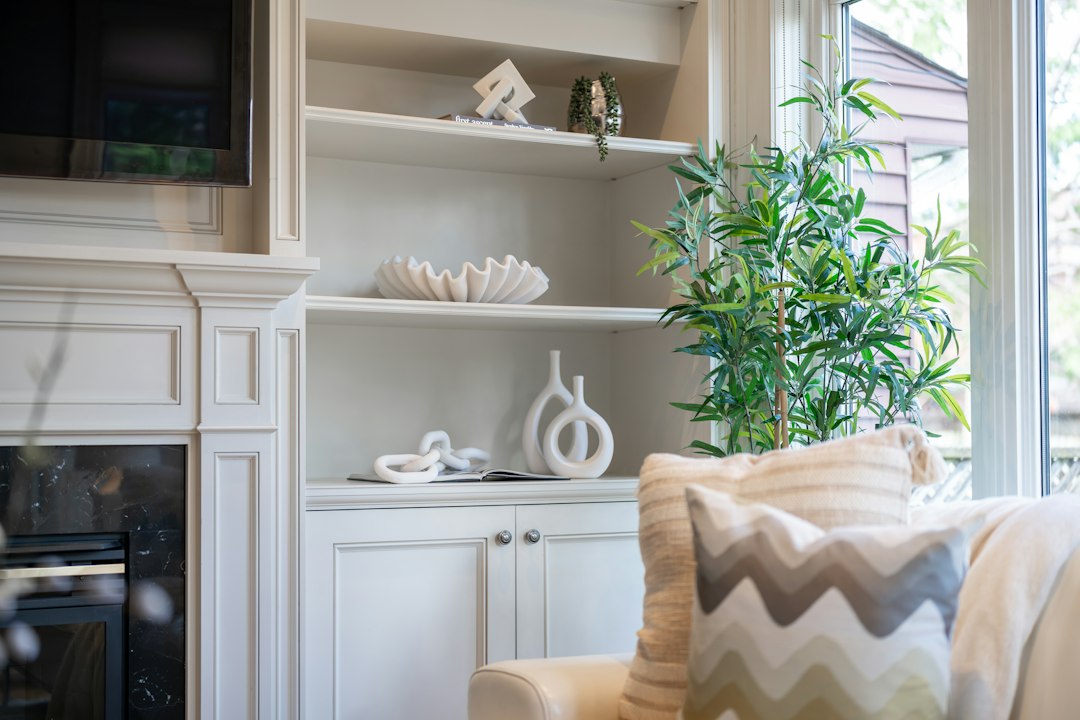 Living room with built-in shelves and decorative items
